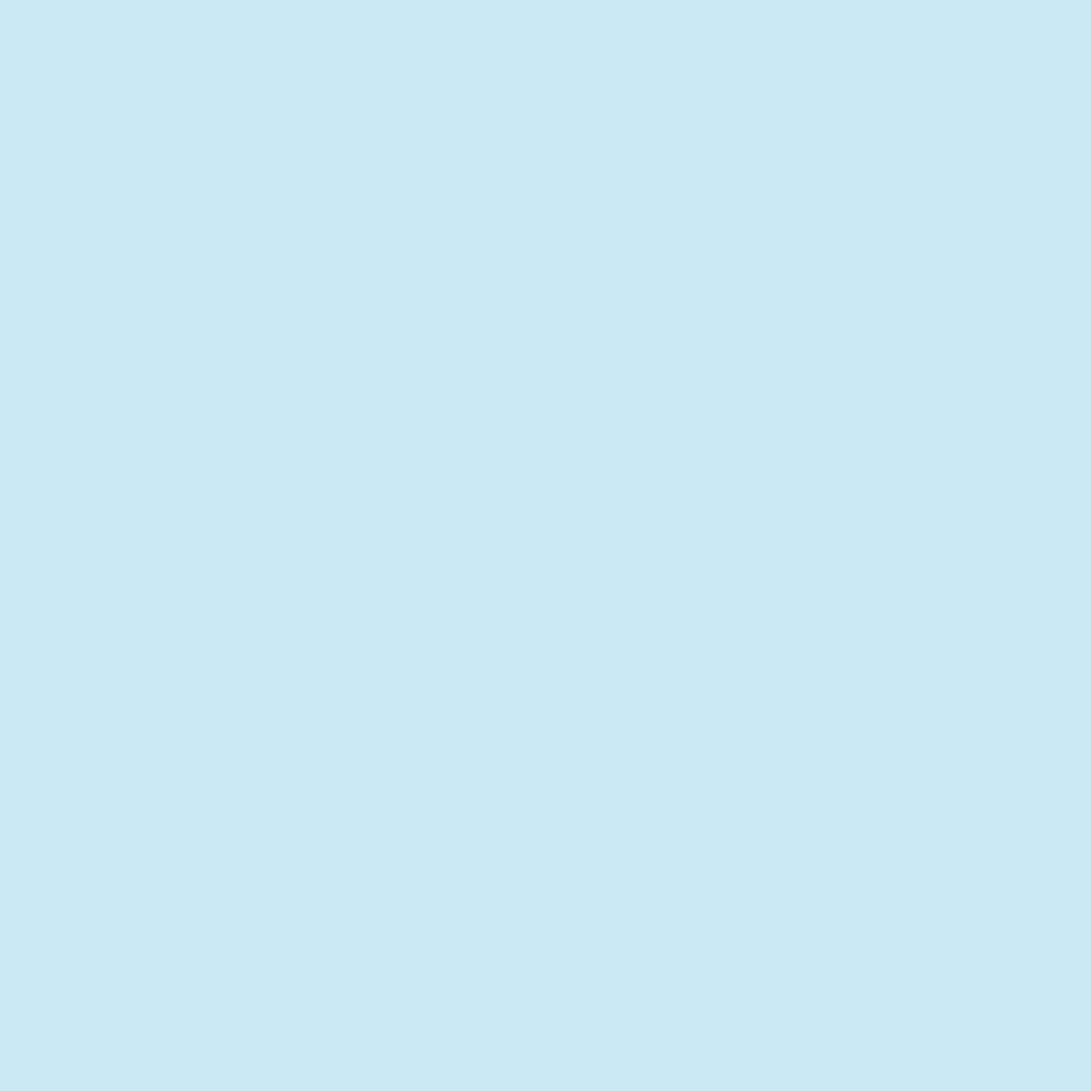 RTgyo　ライトブルー24 2066-70 Light Blue - Paint Color | Preston Paints