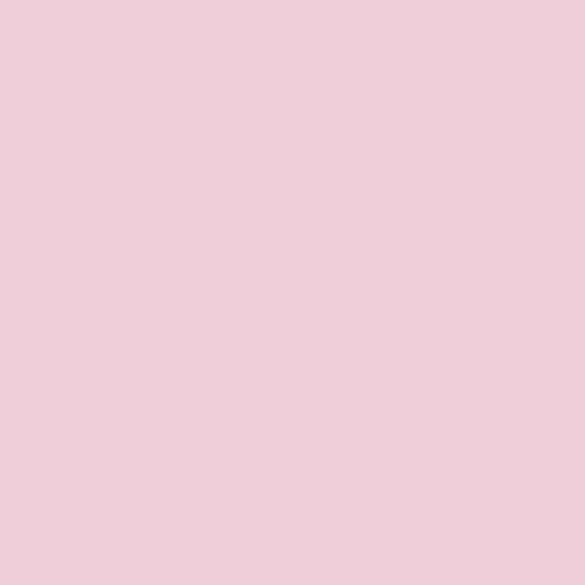 2085-60 Pink Petals - Paint Color | Preston Paints